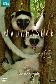 马达加斯加 Madagascar