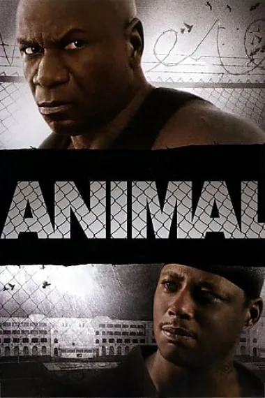 Animal 下载