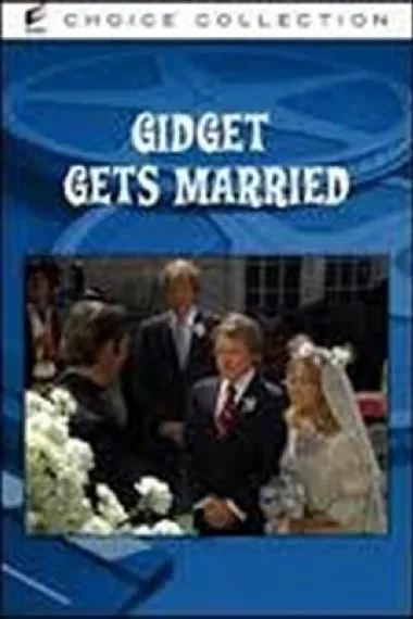 Gidget Gets Married 下载