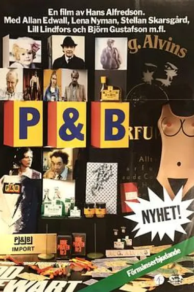 P & B 下载